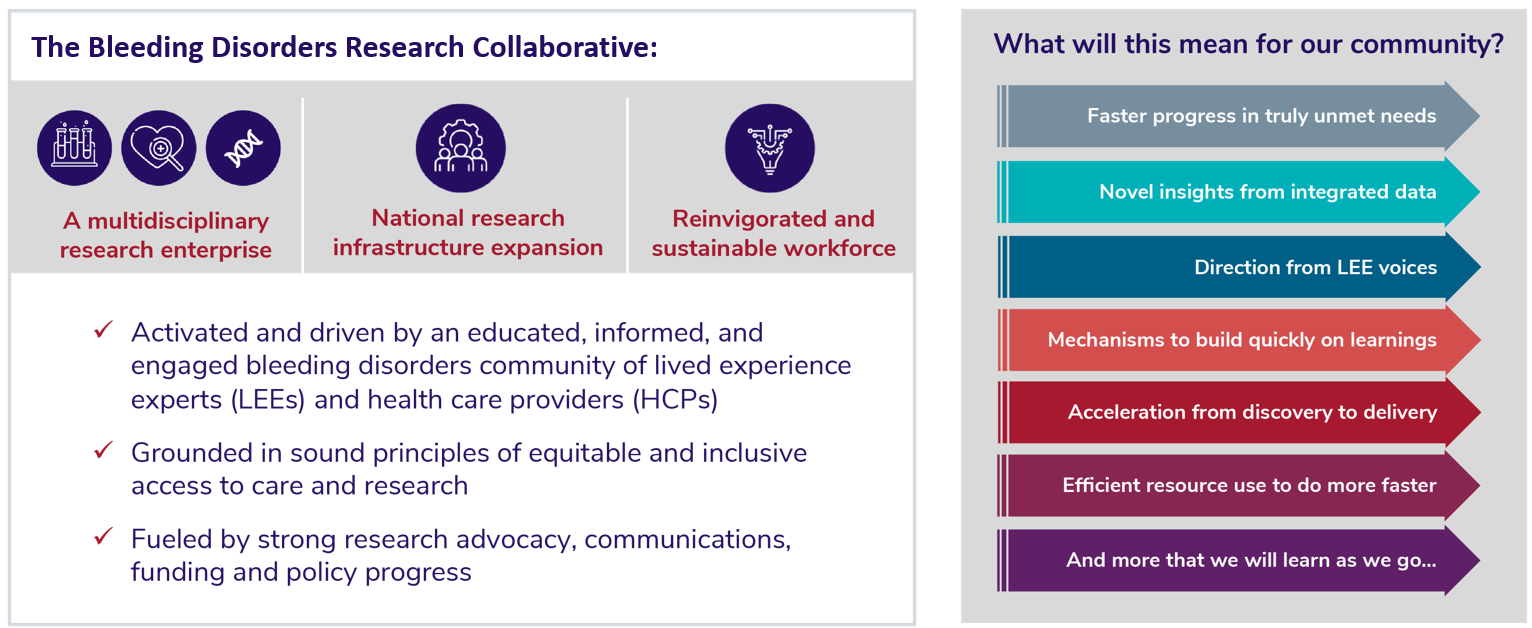 A stylized graphic illustrating the foundational structure and expected impact of the Bleeding Disorders Research Collaborative. Left side (purple icons and headers): Three icons represent the pillars of the collaborative: A test tube cluster labeled “A multidisciplinary research enterprise.” A heart and magnifying glass labeled “National research infrastructure expansion.” A DNA strand forming a caduceus labeled “Reinvigorated and sustainable workforce.” Below the icons, three check-marked statements describe the collaborative: Activated and driven by an educated, informed, and engaged bleeding disorders community of lived experience experts (LEEs) and healthcare providers (HCPs). Grounded in sound principles of equitable and inclusive access to care and research. Fueled by strong research advocacy, communications, funding, and policy progress. Right side (arrow stack): A vertical series of multicolored right-pointing arrows lists benefits for the community: Faster progress in truly unmet needs. Novel insights from integrated data. Direction from LEE voices. Mechanisms to build quickly on learnings. Acceleration from discovery to delivery. Efficient resource use to do more faster. And more that we will learn as we go...