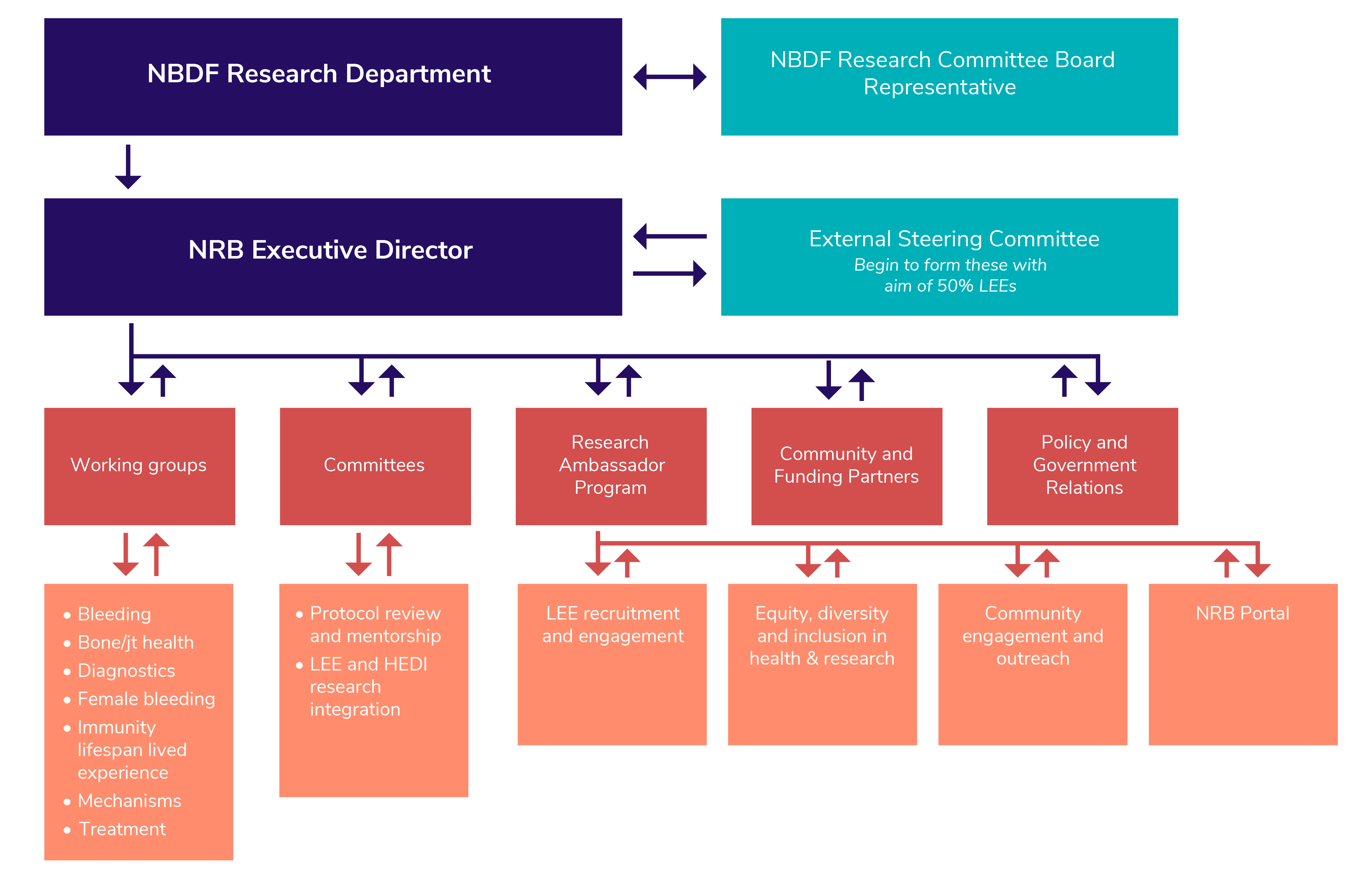 NBDF National Research Blueprint - Governance Structure