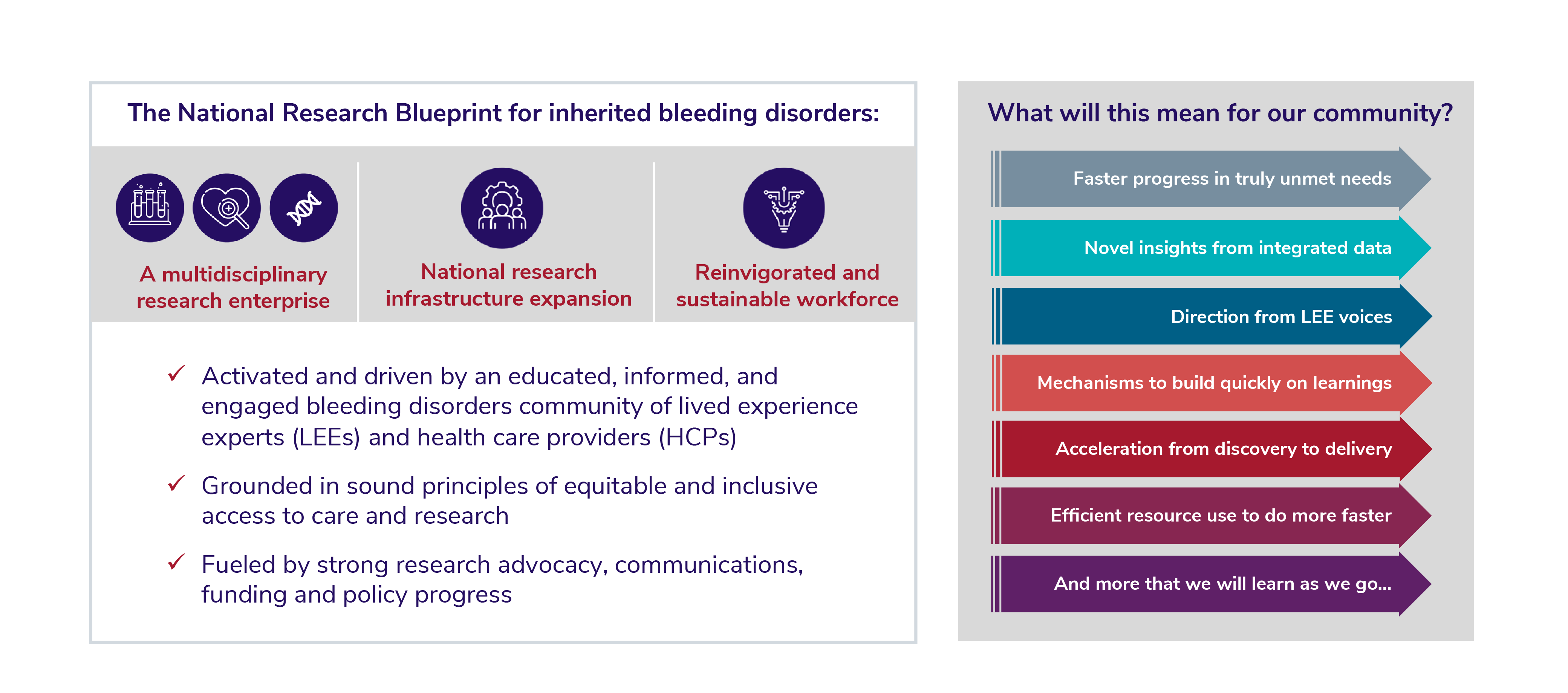 The National Research Blueprint for inherited bleeding disorders