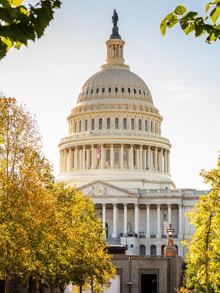 Washington D.C. - Capitol Building