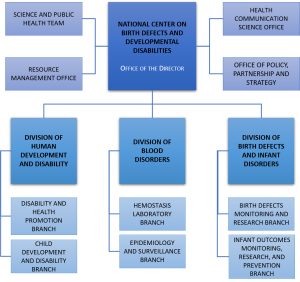 NCBDDD Formation