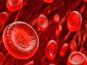 Red Blood Cells